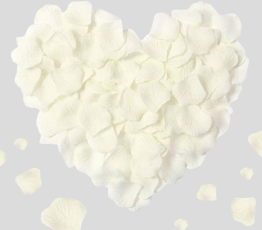 Décoration - Pétales de Rose (1000pcs)